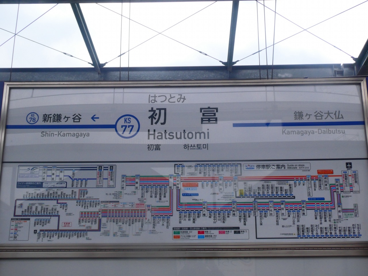 初富